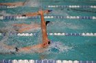 Swim vs Bentley  Wheaton College Swimming & Diving vs Bentley University. - Photo by Keith Nordstrom : Wheaton, Swimming & Diving